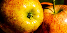 免费ddos在线攻击